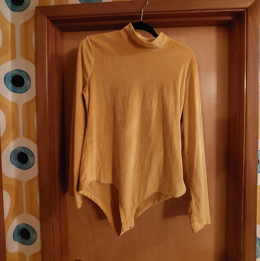 Modlcoth Velour Bodysuit